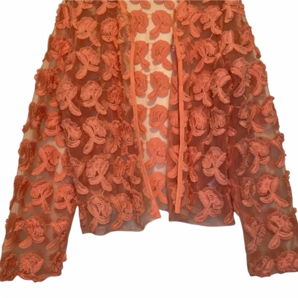 Cupio Embroidered Floral Sheer Pink Open Jacket XL - Picture 2 of 9